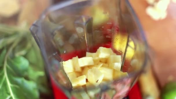 Hands putting pieces of pineapple in blender — ストック動画