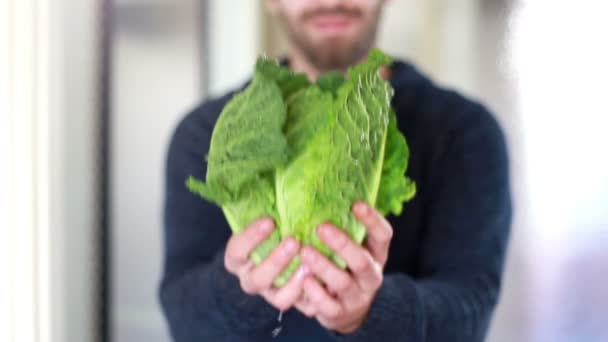 Man holding bunch of kale — 图库视频影像