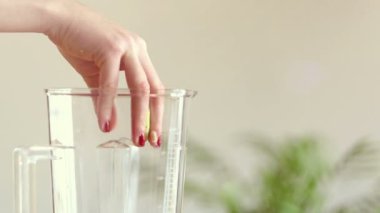 El Yiyeceği Blender 'a Koyuyor