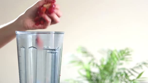 Woman hand putting fruits into blender — Stock Video