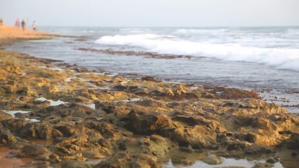 Vista al mar en Hikkaduwa al atardecer — Vídeos de Stock