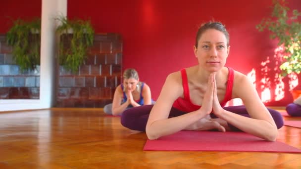 Women doing yoga on mats — Stock Video