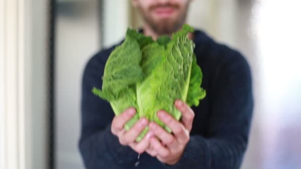 Man holding bunch of kale — Stockvideo