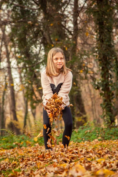 Child plays with leaves in park — Stock Photo, Image