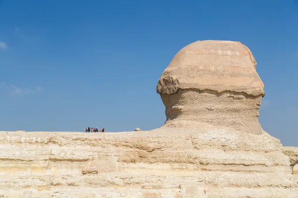 A turisták a háton és a nagy Szfinx — Stock Fotó