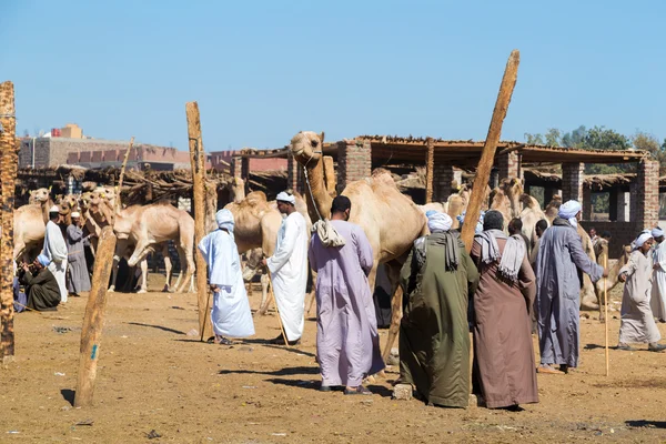 Vendeurs de chameaux sur le marché du chameau — Photo