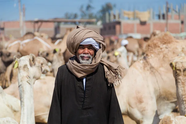 Camel salesman on Camel market — Stock Photo, Image