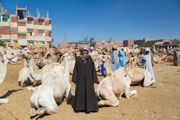 Deve pazarında deve satıcısı — Stok fotoğraf