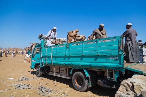 Kameel verkopers op Camel markt — Stockfoto