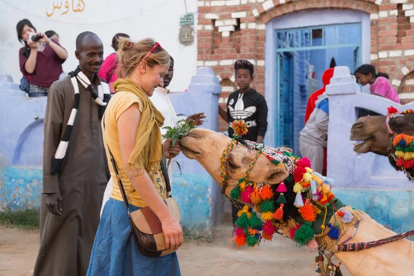 Tourist  feeding camel — Stock Photo, Image