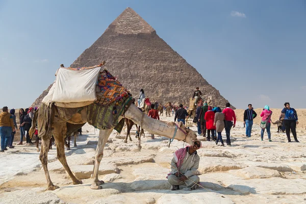 Ο άνθρωπος ενοικιάζει καμήλα με τουριστικές — Φωτογραφία Αρχείου
