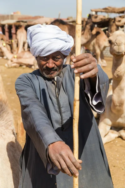 Elderly camel salesman with stick — Stock Photo, Image