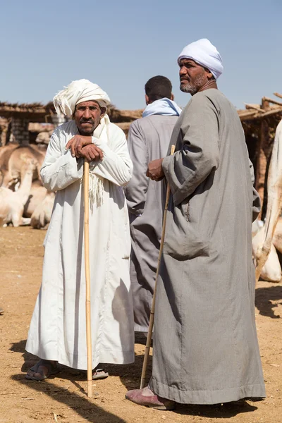 Salesmen with sticks at Camel market — Stock Photo, Image