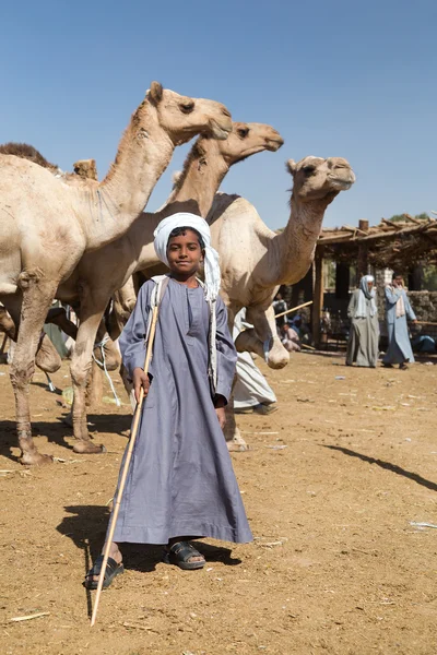 Venditore di cammelli sul mercato dei cammelli — Foto Stock