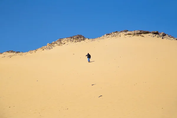 砂漠で歩く、ヌビア人 — ストック写真