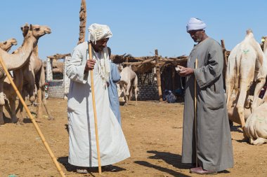 sopayla yaşlı deve satıcısı