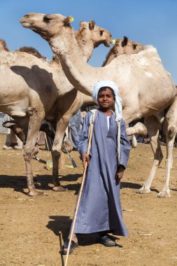  Deve pazarında deve satıcısı 