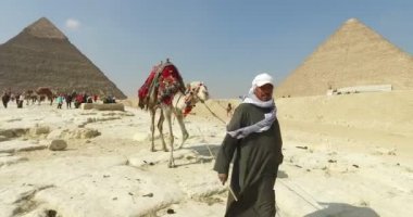 Mısır adam önde gelen deve 