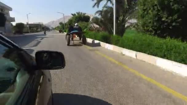 People riding donkey cart — Stock Video