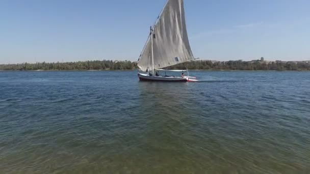 Felucca zig- zagging para baixo o Nilo — Vídeo de Stock