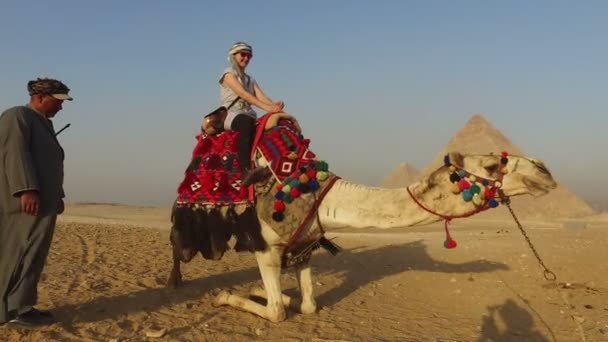 Tourist sitting on camel — Stock Video