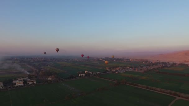 Varmluftsballonger flyger på himlen — Stockvideo