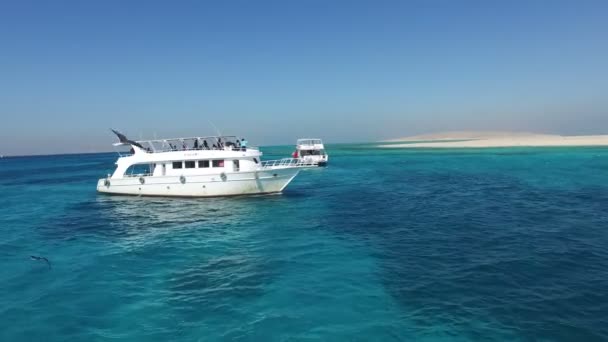 Tourist excursion boats sailing towards island — Stock Video