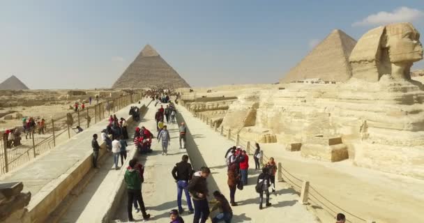 Touristen besuchen Giza-Pyramiden — Stockvideo