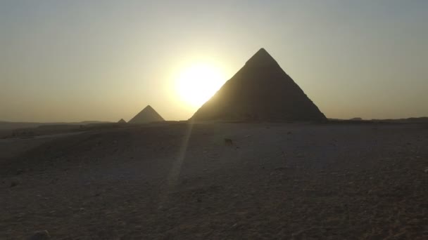 Pyramides de Gizeh au coucher du soleil — Video