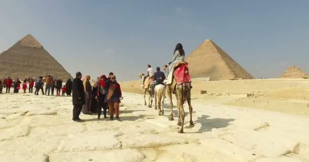 Touristen besuchen Giza-Pyramiden — Stockvideo