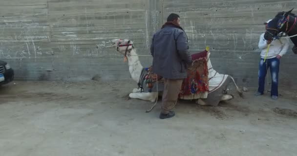 People on the street in Giza — Stock Video