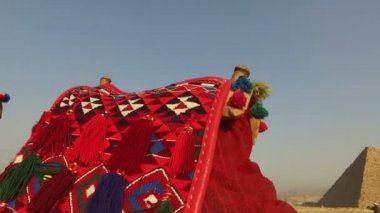 Giza pyramids, Cairo adlı deve