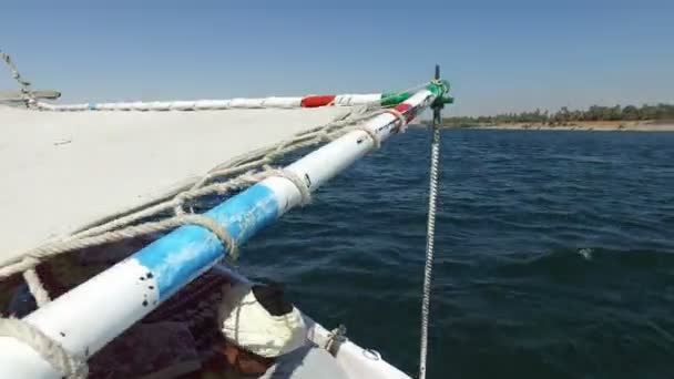 Felucca segling ned längs Nilen — Stockvideo
