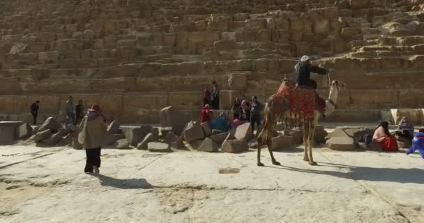 Turisti di fronte alla Piramide di Khafre — Video Stock