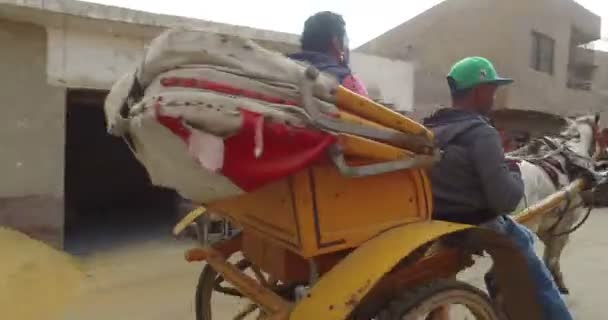 Niños montando en carro de caballos — Vídeos de Stock