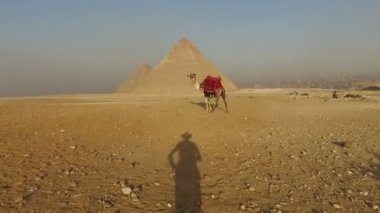  deve için yaklaşırken gölge 