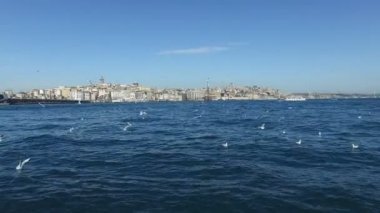  Istanbul'da Boğaz'ın denizde martılar,