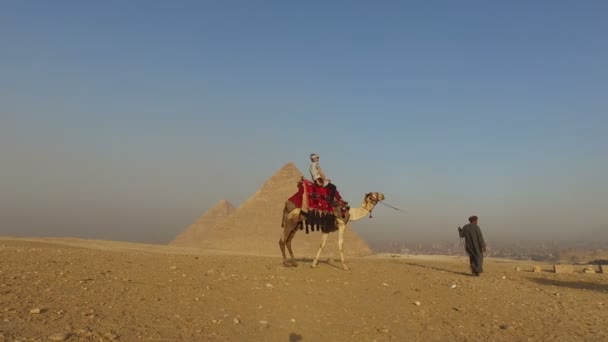 Egyptisk man leder en kamel med kvinna — Stockvideo