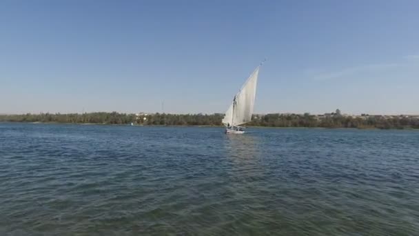 Felucca naviga lungo il Nilo — Video Stock