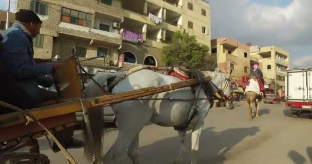 Vista de rua de Gizé no Egito — Vídeo de Stock