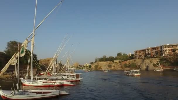 Tour boats on Nile river — Stock Video