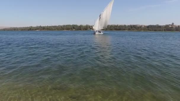 Felucca zig- zagging para baixo o Nilo no Egito — Vídeo de Stock