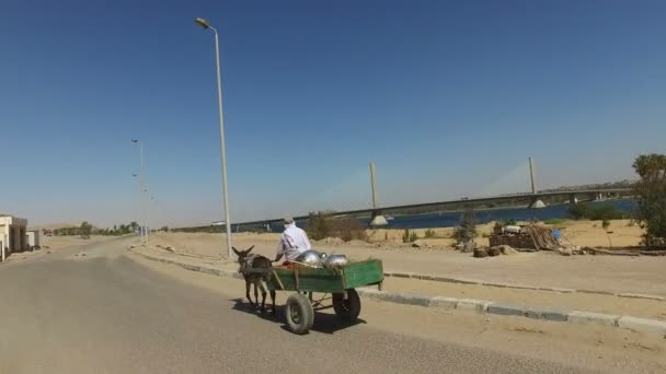 Homme chevauchant un chariot à âne — Video