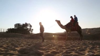  Adam bir deve kadınla açar.