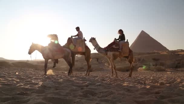 Uomo egiziano cavalcando un cavallo — Video Stock