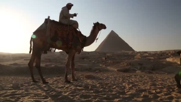 Человек сидит на верблюде — стоковое видео