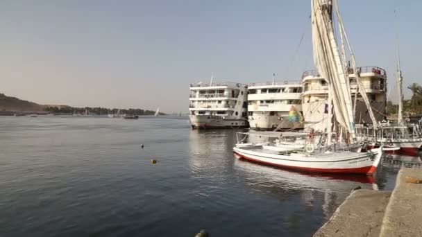 Boats on the Nile river — Stock Video