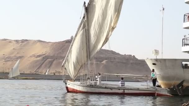 Erkekler ile Felucca yelken — Stok video