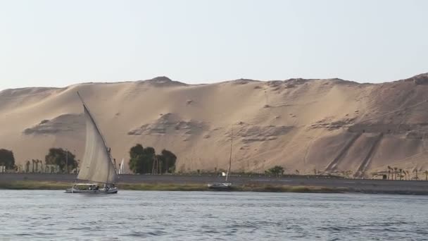 Felucca boats sailing on the Nile river — Stock Video