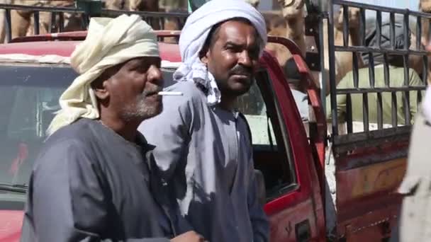 Twee mannen praten op Camel markt in de stad van Daraw — Stockvideo